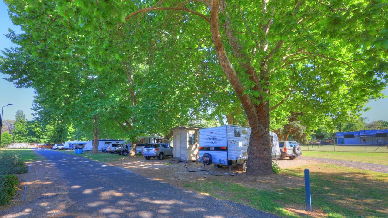 Myrtleford Holiday Park المظهر الخارجي الصورة